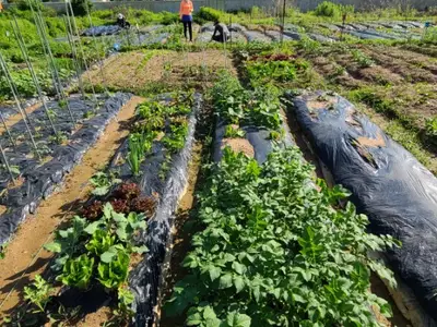 산천초목주말농장