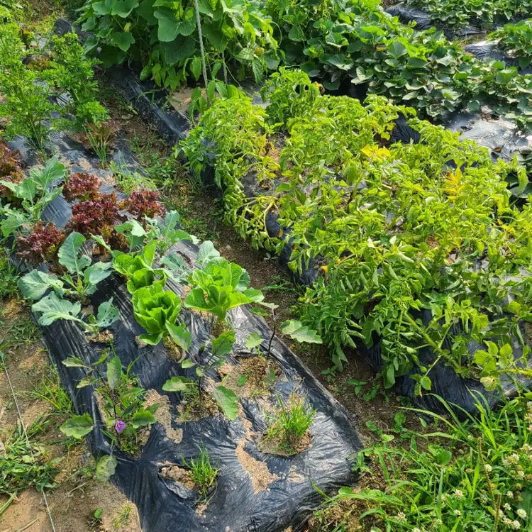 산천초목주말농장 사진 2
