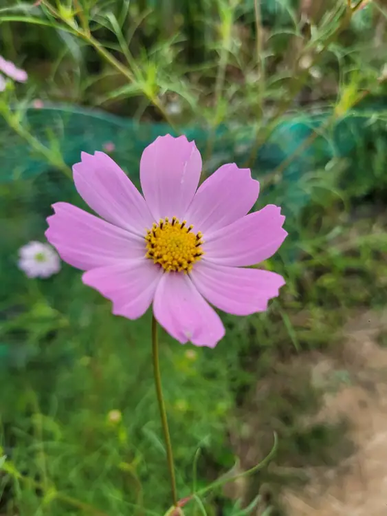 밤골주말농장 사진 2