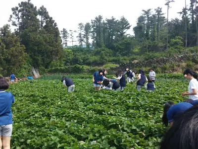 초록꿈디자인