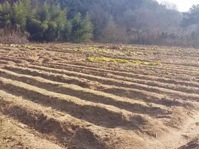 바다별주말농장