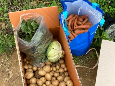 오성주말농장