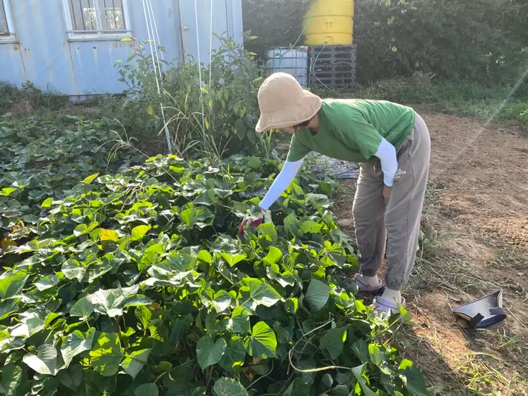 오성주말농장 사진 2