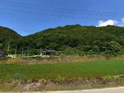 블랙커런트농장