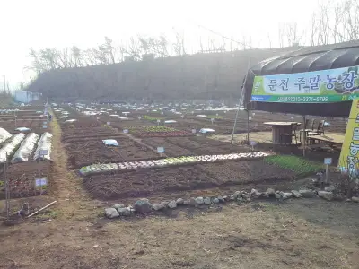 둔전주말농장