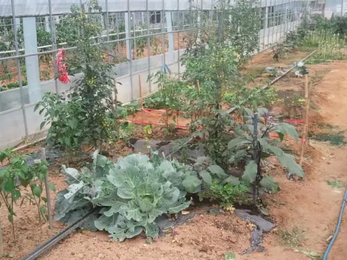청산농원 사진 3