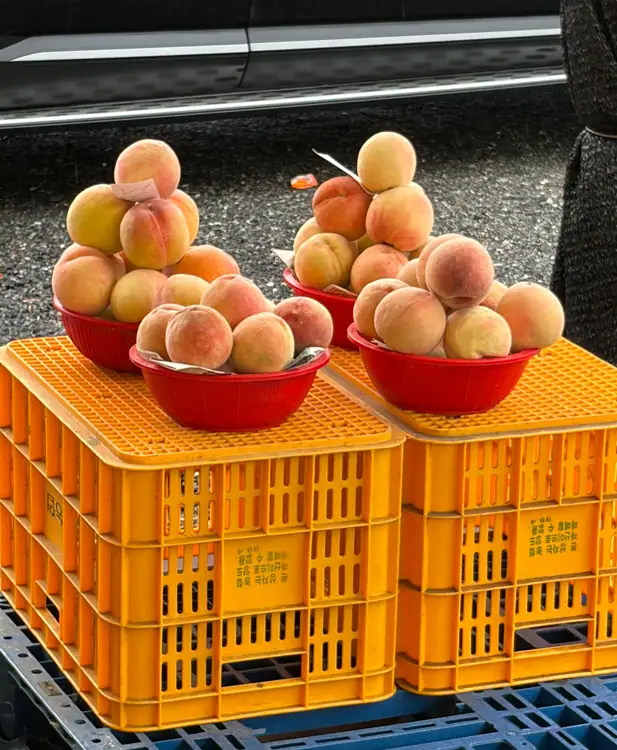 희수농장 사진 5