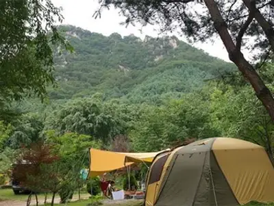 불곡산매실농장