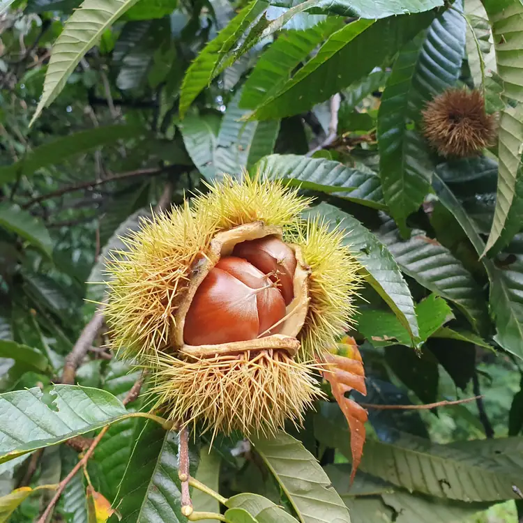 대일농장 사진 3