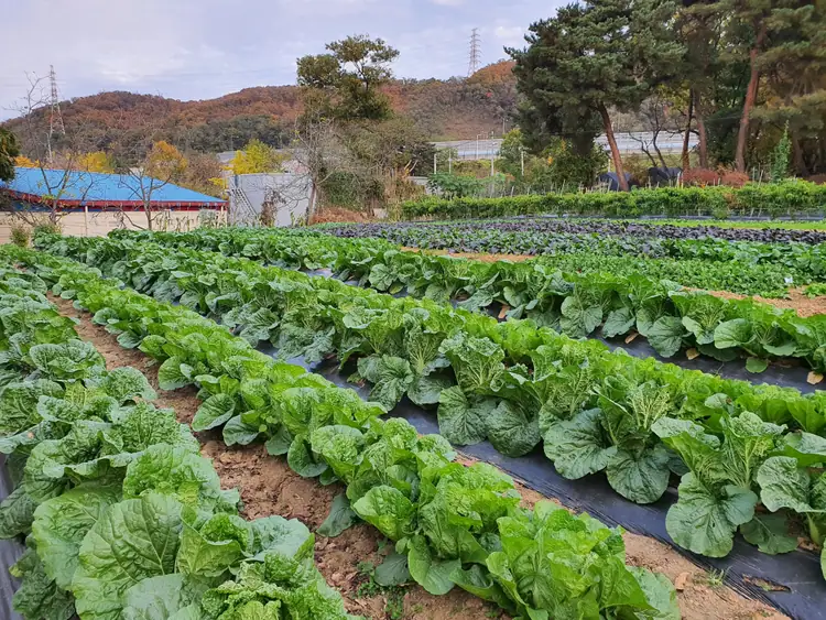 어여비주말농장 사진 2