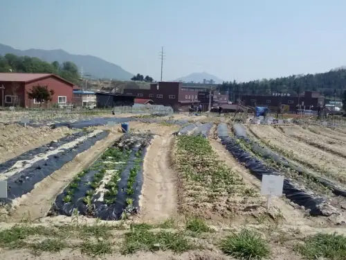 석실 사진 2