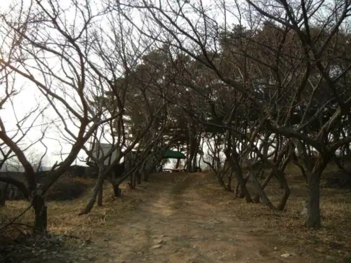 적오산농장 사진 5