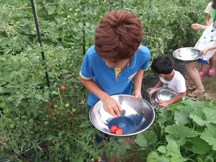 자연나라교육농장 사진 2