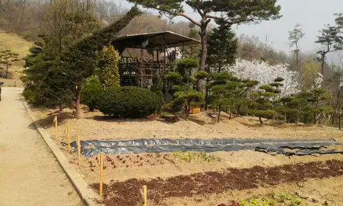 청목 농장 사진 2