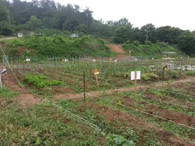 산마루주말농원