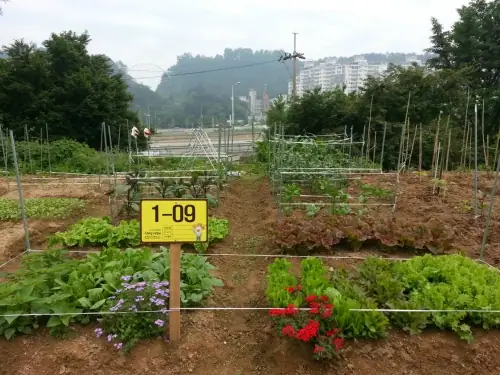 산마루주말농원 사진 2