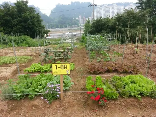 산마루주말농원 사진 3