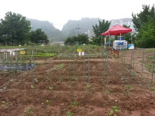 산마루주말농원 사진 4