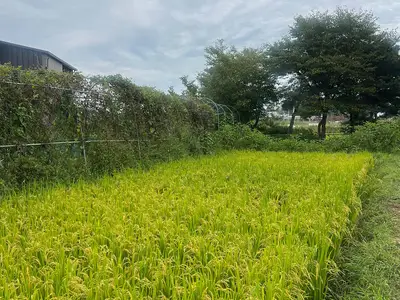 비틀즈자연학교