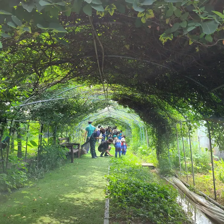 비틀즈자연학교 사진 4
