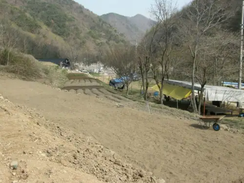 반딧불주말농장 사진 3