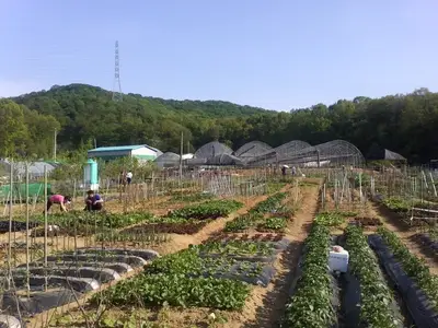 푸른주말농장