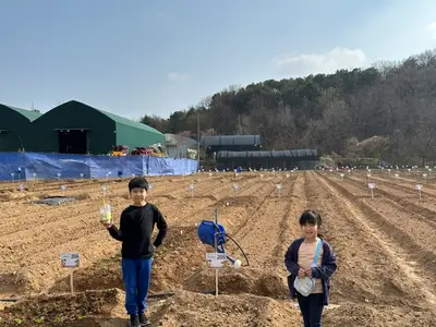 주말농장원당텃밭