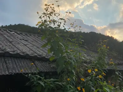 노채마을