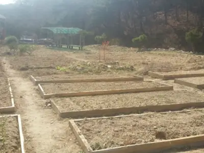 자연누리텃밭정원