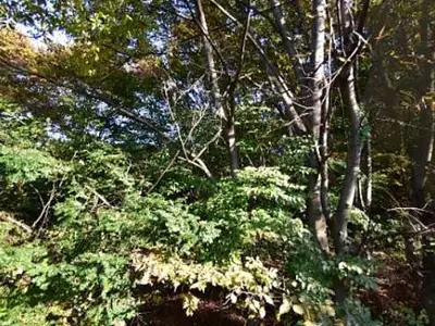 삼하리아동산