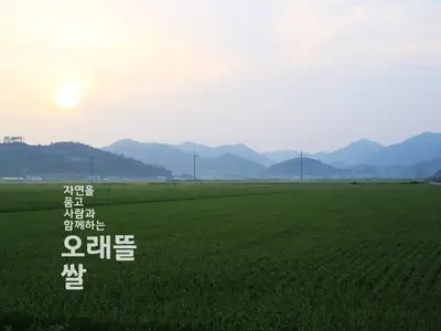 성원영농조합법인