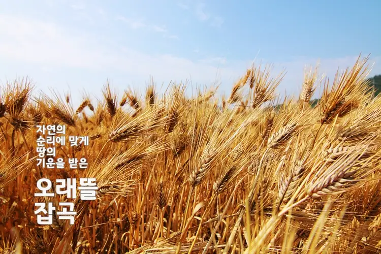 성원영농조합법인 사진 2