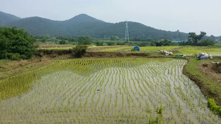 보물섬 치유농원 사진 2