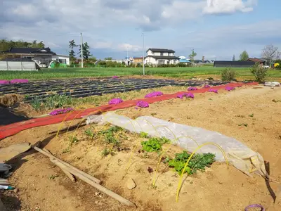 서산주말농장