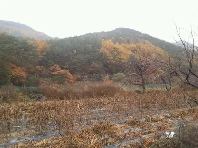 산내루산림농원