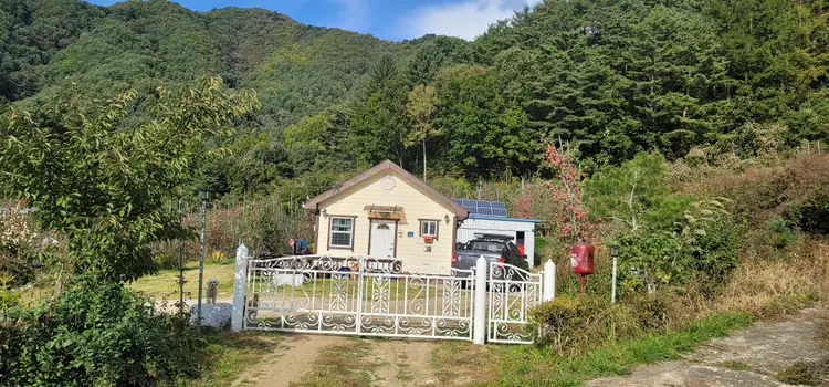 이동장네과수원 사진 5