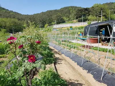 운봉사랑주말농장