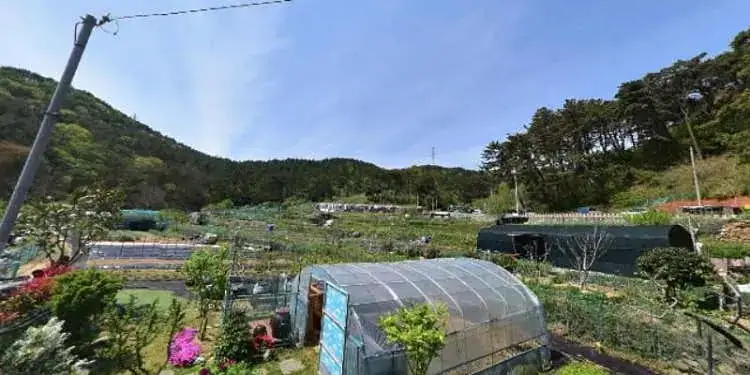 운봉사랑주말농장 사진 2