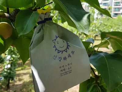 천수주말농장