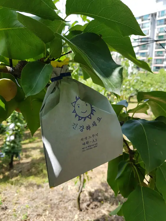 천수주말농장 사진 1