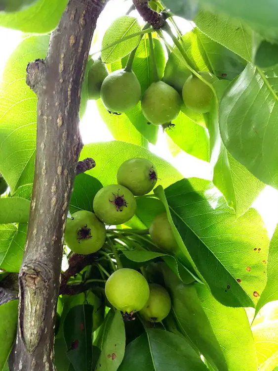 천수주말농장 사진 2