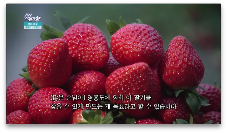 만나농원 사진 3