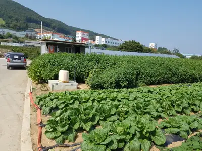창주농장