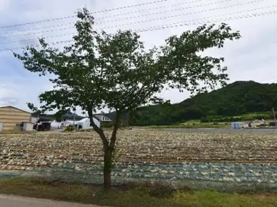 마당터농장
