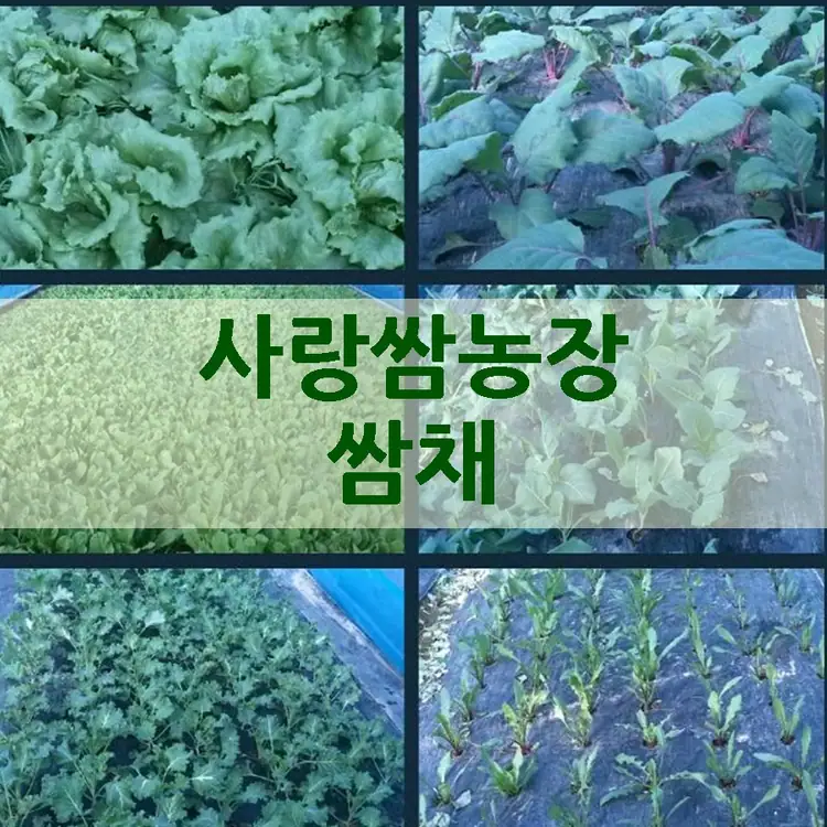 사랑쌈농장 사진 2
