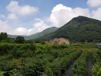 도화골 농원