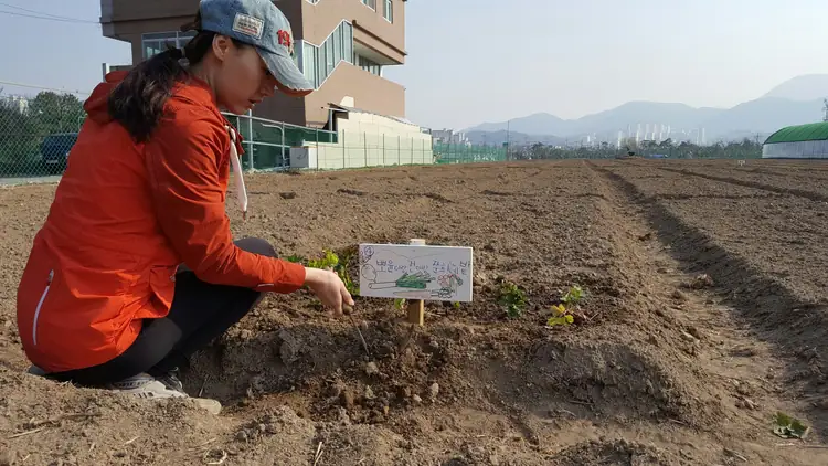 주말농원 소풍 사진 3