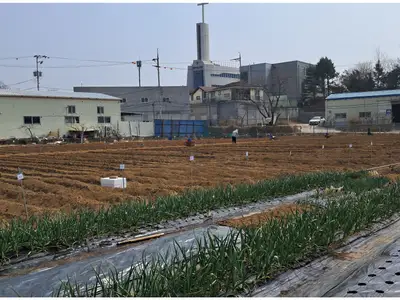 계수동주말농장