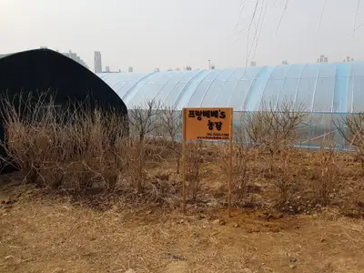 프랑베베농장
