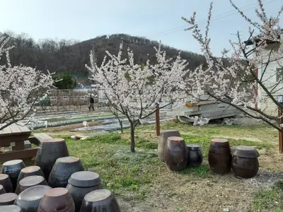 나들농원